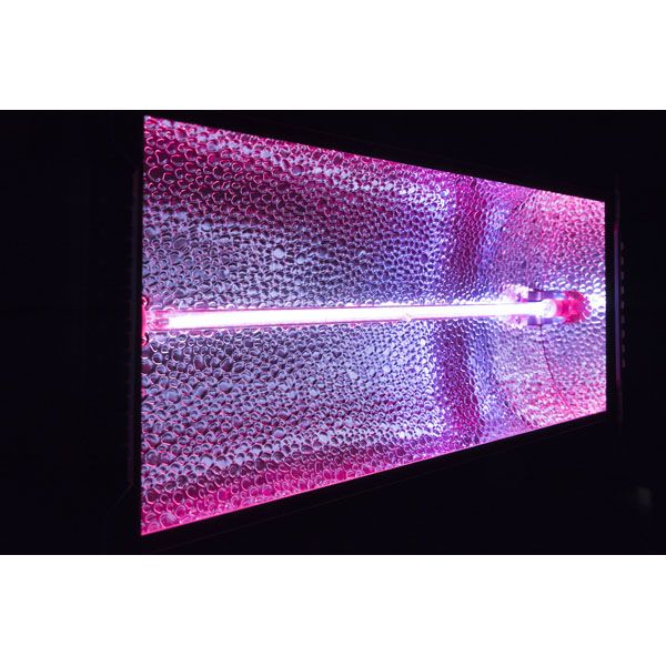 Showtec Titan Strobe BLAZE - Afbeelding 7